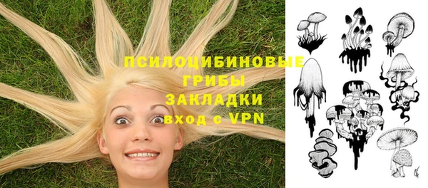 кокаин Алексеевка