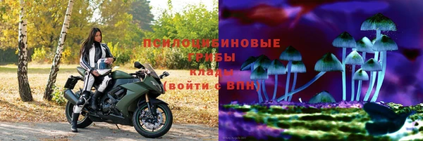 ECSTASY Алексин