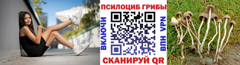 Псилоцибиновые грибы прущие грибы MEGA зеркало Карпинск