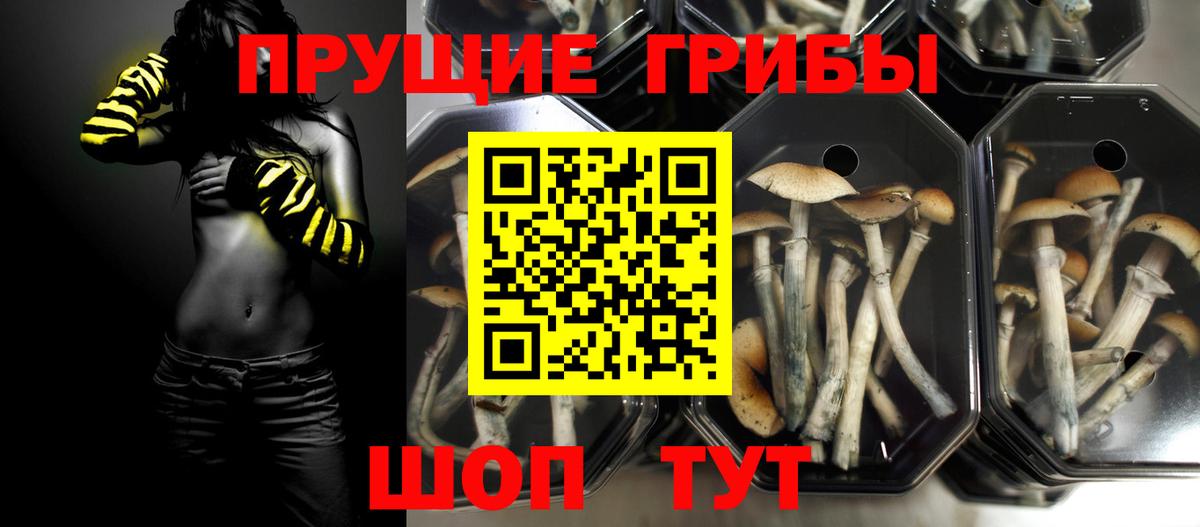Галлюциногенные грибы MAGIC MUSHROOMS  Вход с VPN  Карпинск 